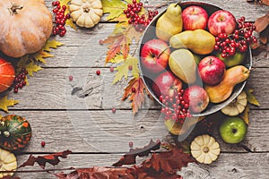 Autumn harvest and thanksgiving card background