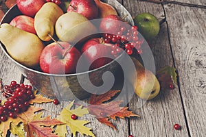 Autumn harvest and thanksgiving card background