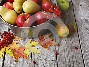 Autumn harvest and thanksgiving card background