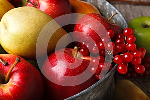 Autumn harvest and thanksgiving card background