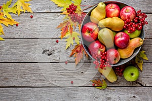 Autumn harvest and thanksgiving card background