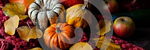 Autumn, harvest time. Composition with ripe organic pumpkins, apples, red scarf and yellow leaves. Basket on background. Low key,