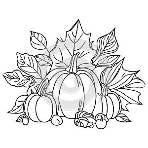 Autumn harvest vegetable pumpkin Autumn Fall season coloring illustration pages, Maple ornate leaves in black isolated