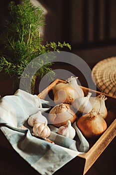 Autumn harvest vegetables, home growth onion and garlic picked up from farm in rustic tray