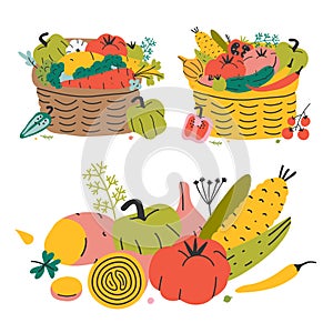 Autumn harvest vegetales put in natural wicker basket for farming market or picknic. Concept of organic natural wholesome food. Va