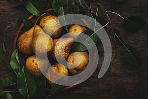 Autumn harvest of yellow pears with leaves on clay plate on old rustic wood kitchen table background