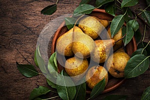 Autumn harvest of yellow pears with leaves on clay plate on old rustic wood kitchen table background