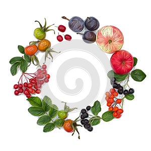 Autumn harvesting. Composition of fruits, berries on a white background. Apples, viburnum, dogwood, dog rose, rowan, chokeberry.