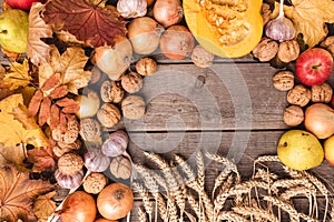 Autumn harvests arranged in a circle on old wooden boards. Top view of vegetables and fruits. Free space.