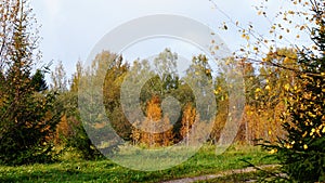 Autumn has arrived in Latvia. Village landscape.