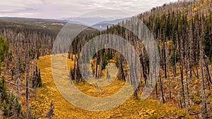 The autumn has arrived in Tweedsmuir South Provincial Park