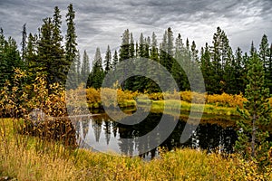 The autumn has arrived in Tweedsmuir South Provincial Park photo