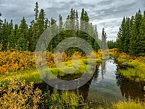 The autumn has arrived in Tweedsmuir South Provincial Park photo