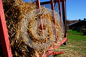 Autumn hay ride