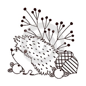 Autumn hedgehog acorn berries banches isolated design white background line style