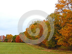 Autumn hedgerow borders around FingerLakes crop field