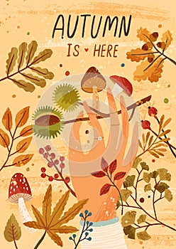 Autumn is here flat greeting card vector template. Fall season postcard, poster layout. Mushrooms picking hobby, active