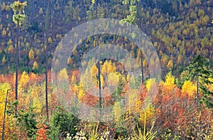 Jeseň vo Vysokých Tatrách, Slovensko