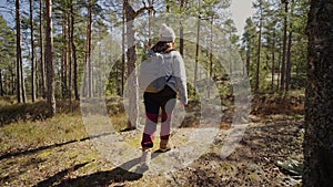 Autumn hike backpacker lifestyle woman walking on trek trail in forest outdoors