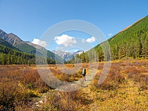 Autumn hike. Solo hiking in the picturesque autumn mountains. Heavy climb in the mountains with a backpack. Travel lifestyle,
