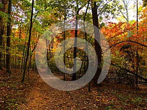 Autumn Hiking