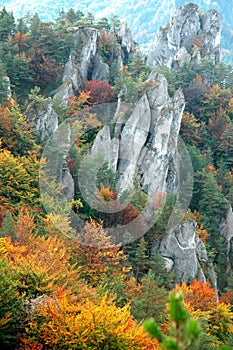 Autumn hill Landscape