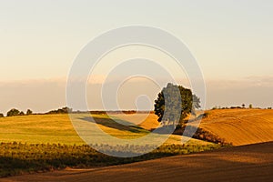 Autumn hills at sunrise