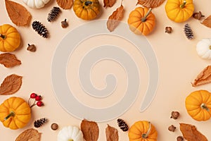 Autumn holiday frame from decorative pumpkins, dried foliage, berry, pinecones and acorns. Thanksgiving day, harvest, autumn