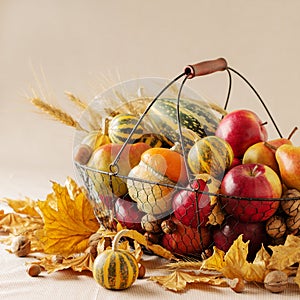 Autumn holiday Thanksgiving. Still life with pumpkin and apples,