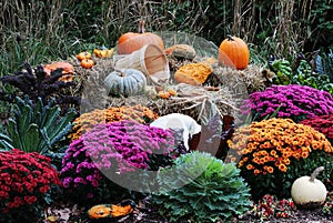 Autumn holidays outdoor decoration background.