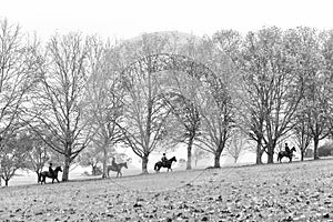 Autumn Horses Riders Landscape