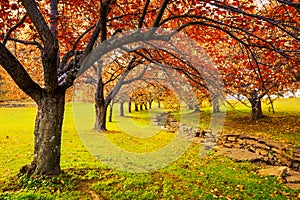 Autumn in Hurd Park, Dover, New Jersey