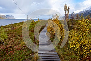 Autumn on Husoy Island