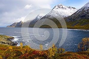 Autumn on Husoy Island