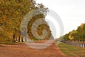 Autumn Hyde Park London