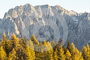 Autumn i alps