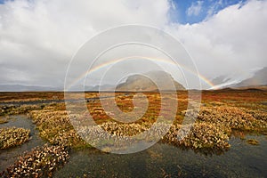 Autumn In Iceland