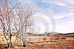 Autumn Icelandic landscape