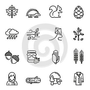 Autumn icon set. Thin Line Style stock vector.