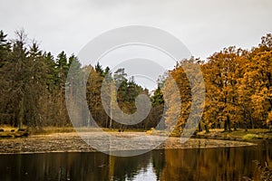 Autumn idyll of nature park