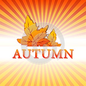 Autumn illustration with fall leaves and rays