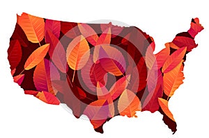 Autumn illustration in a shape of the USA filled with red and orange leaves. United States country fall season.