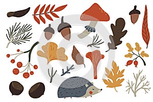 Autumn illustrations, set of fall elements, plants leaves, hedgehog and mushrooms. Cozy vector design