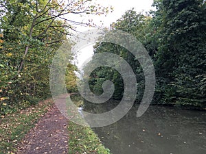 Autumn image - water canal and lots of trees in Leamington Spa, UK