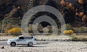 Autumn in Inner Mongolia Grassland