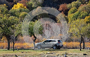 Autumn in Inner Mongolia Grassland