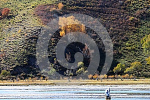 Autumn in Inner Mongolia Grassland