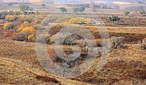 Autumn in Inner Mongolia Grassland