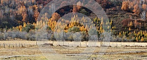 Autumn in Inner Mongolia Grassland