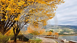 Autumn in Ioannina city Epirus Greece